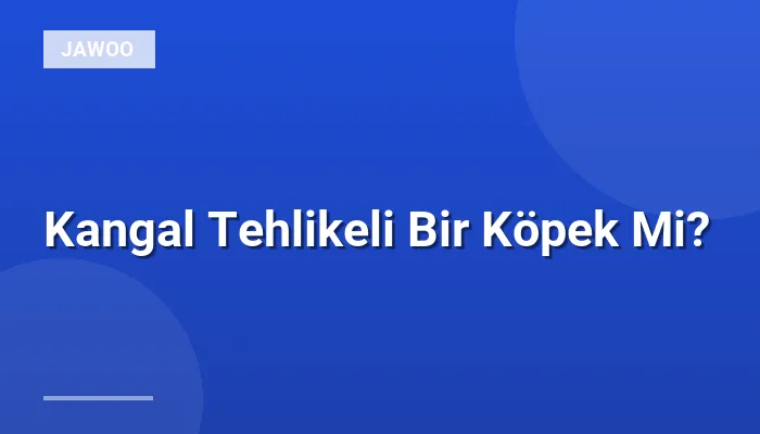 Kangal Tehlikeli Bir Köpek Mi?