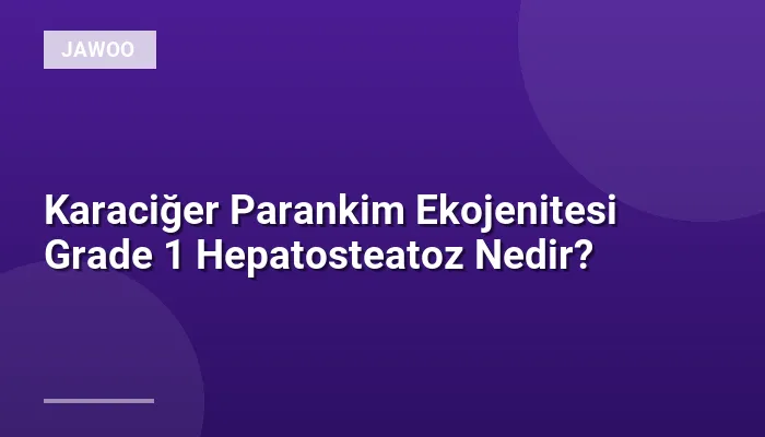 Karaciğer Parankim Ekojenitesi Grade 1 Hepatosteatoz Nedir?