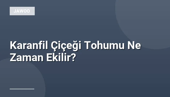 Karanfil Çiçeği Tohumu Ne Zaman Ekilir?
