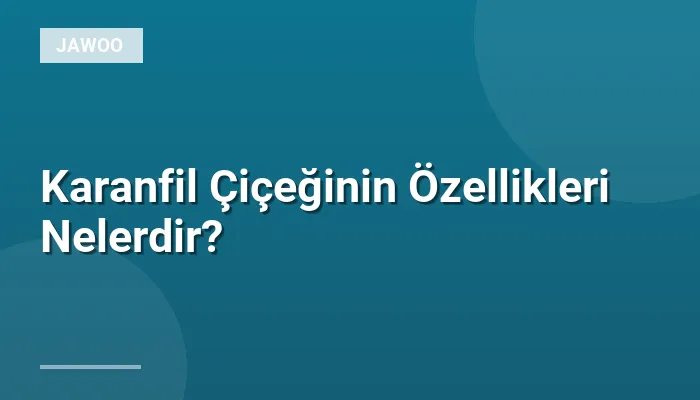 Karanfil Çiçeğinin Özellikleri Nelerdir?