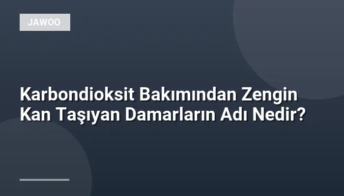 Karbondioksit Bakımından Zengin Kan Taşıyan Damarların Adı Nedir?