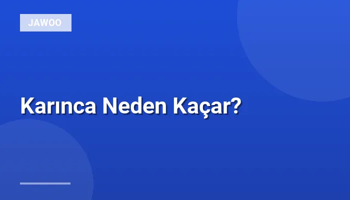 Karınca Neden Kaçar?