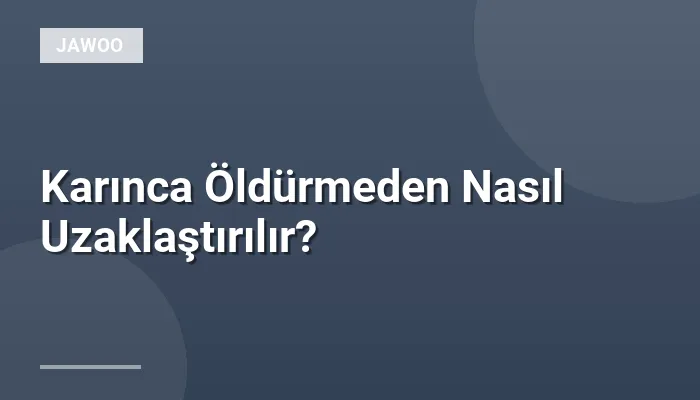 Karınca Öldürmeden Nasıl Uzaklaştırılır?