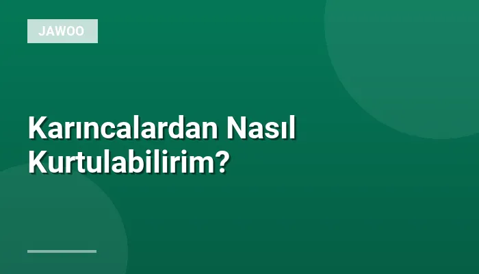 Karıncalardan Nasıl Kurtulabilirim?