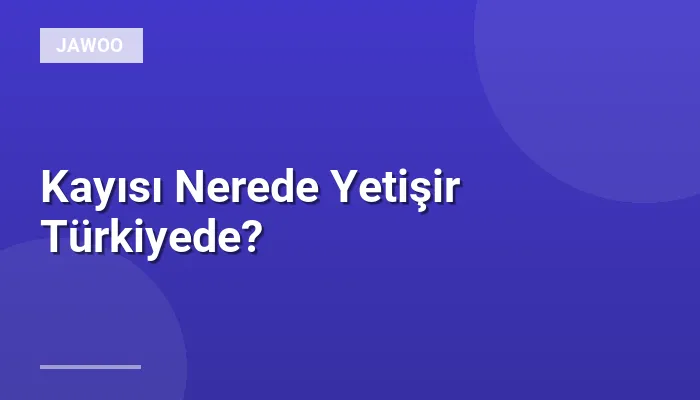 Kayısı Nerede Yetişir Türkiyede?