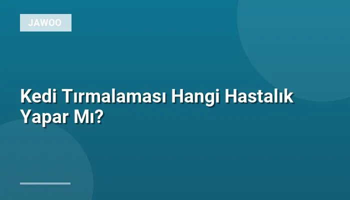 Kedi Tırmalaması Hangi Hastalık Yapar Mı?