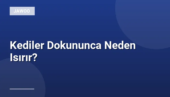 Kediler Dokununca Neden Isırır?