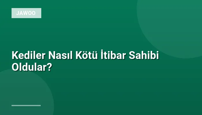 Kediler Nasıl Kötü İtibar Sahibi Oldular?