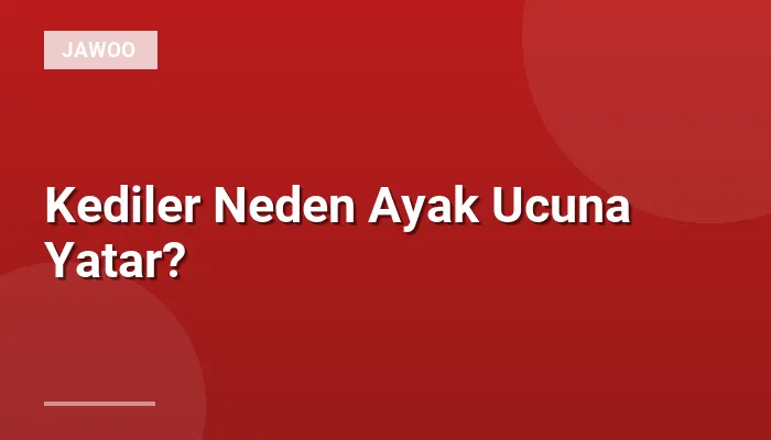 Kediler Neden Ayak Ucuna Yatar?