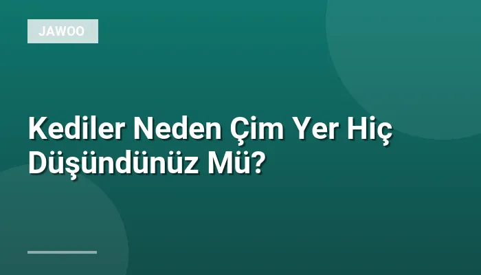 Kediler Neden Çim Yer Hiç Düşündünüz Mü?