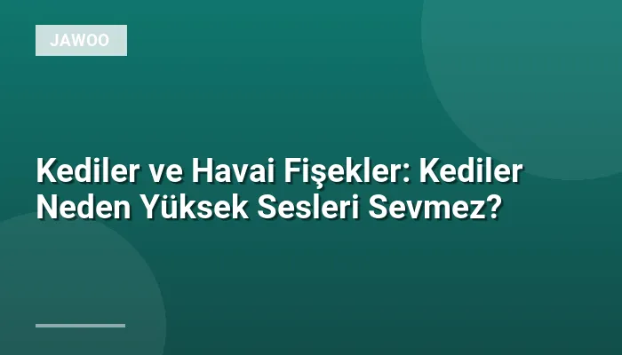 Kediler ve Havai Fişekler: Kediler Neden Yüksek Sesleri Sevmez?