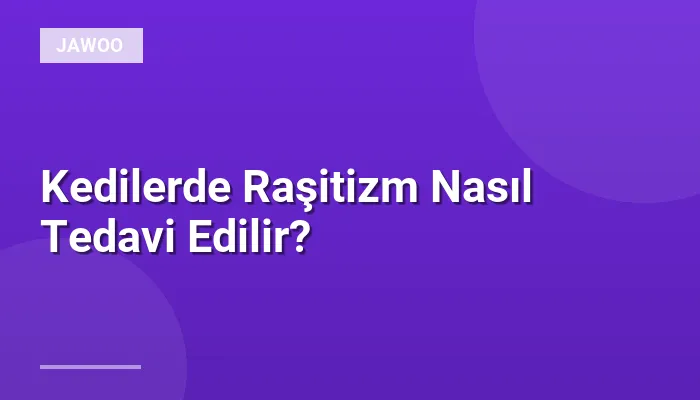 Kedilerde Raşitizm Nasıl Tedavi Edilir?