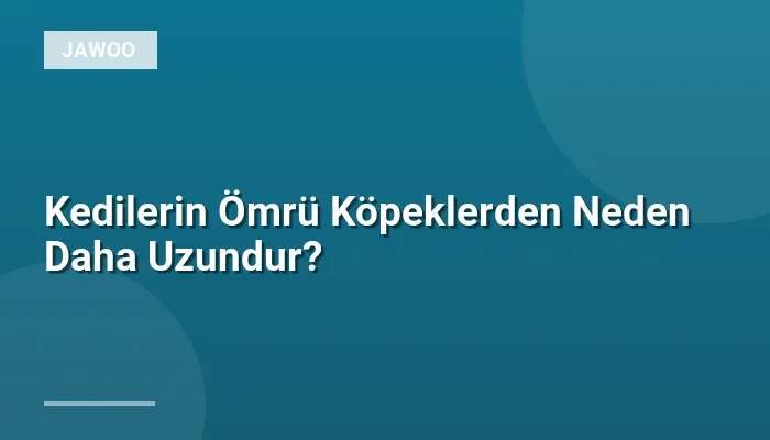 Kedilerin Ömrü Köpeklerden Neden Daha Uzundur?