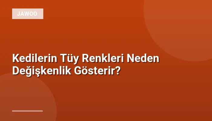 Kedilerin Tüy Renkleri Neden Değişkenlik Gösterir?