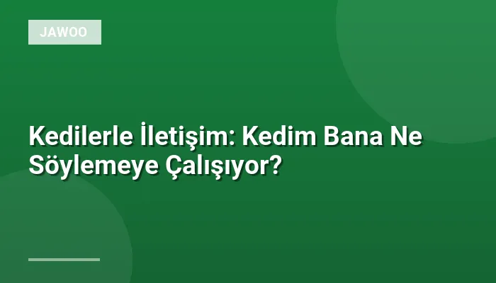 Kedilerle İletişim: Kedim Bana Ne Söylemeye Çalışıyor?
