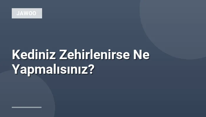 Kediniz Zehirlenirse Ne Yapmalısınız?