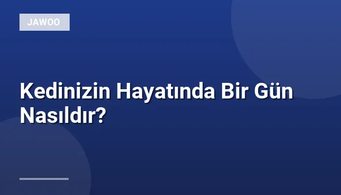 Kedinizin Hayatında Bir Gün Nasıldır?