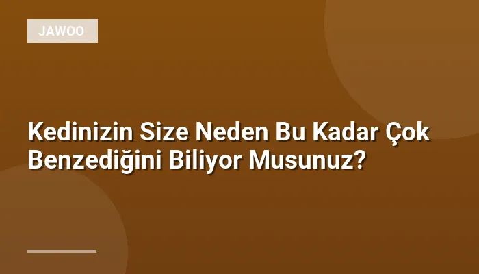 Kedinizin Size Neden Bu Kadar Çok Benzediğini Biliyor Musunuz?