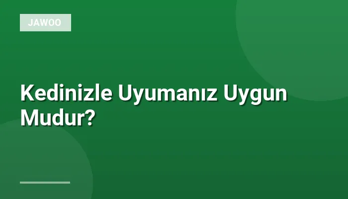 Kedinizle Uyumanız Uygun Mudur?