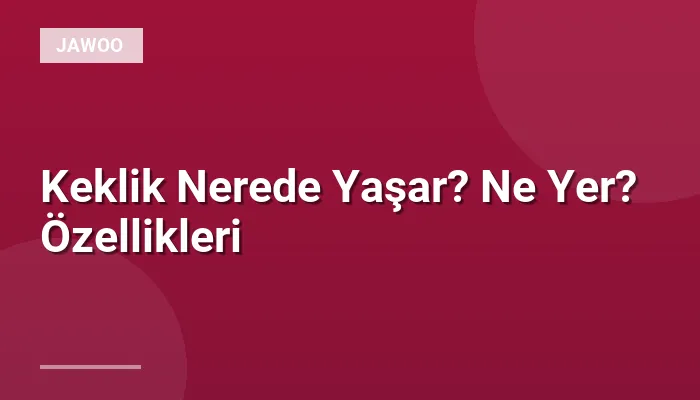 Keklik Nerede Yaşar? Ne Yer? Özellikleri