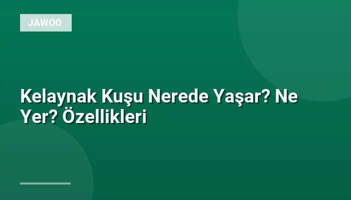 Kelaynak Kuşu Nerede Yaşar? Ne Yer? Özellikleri