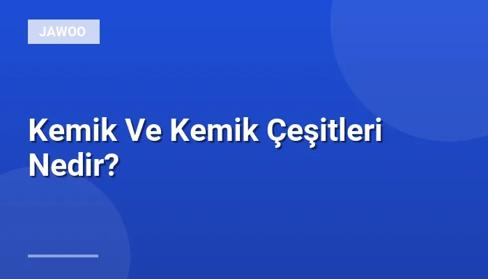 Kemik Ve Kemik Çeşitleri Nedir?