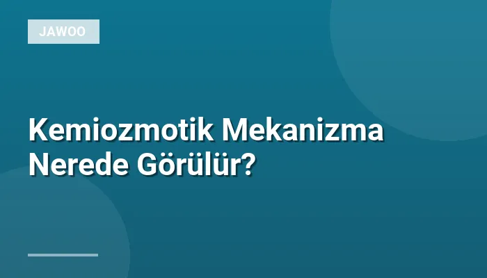 Kemiozmotik Mekanizma Nerede Görülür?