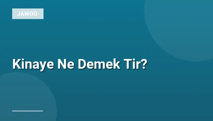 Kinaye Ne Demek Tir?