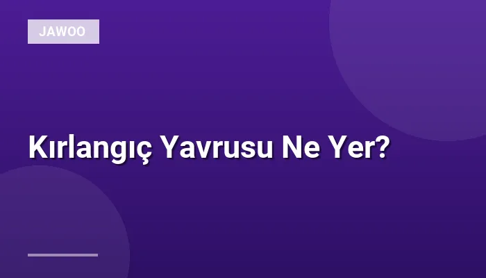 Kırlangıç Yavrusu Ne Yer?