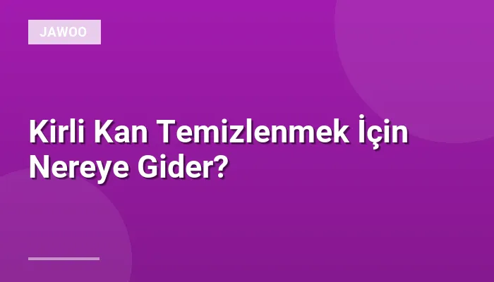 Kirli Kan Temizlenmek İçin Nereye Gider?