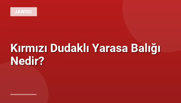 Kırmızı Dudaklı Yarasa Balığı Nedir?