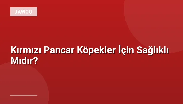 Kırmızı Pancar Köpekler İçin Sağlıklı Mıdır?
