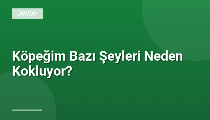 Köpeğim Bazı Şeyleri Neden Kokluyor?
