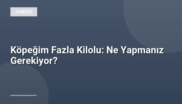 Köpeğim Fazla Kilolu: Ne Yapmanız Gerekiyor?