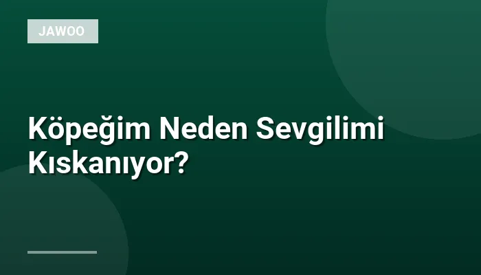 Köpeğim Neden Sevgilimi Kıskanıyor?