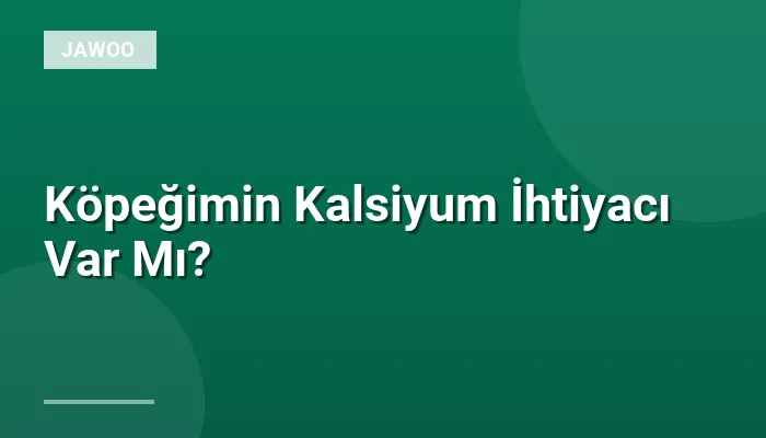 Köpeğimin Kalsiyum İhtiyacı Var Mı?