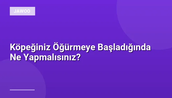 Köpeğiniz Öğürmeye Başladığında Ne Yapmalısınız?