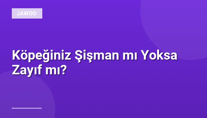Köpeğiniz Şişman mı Yoksa Zayıf mı?
