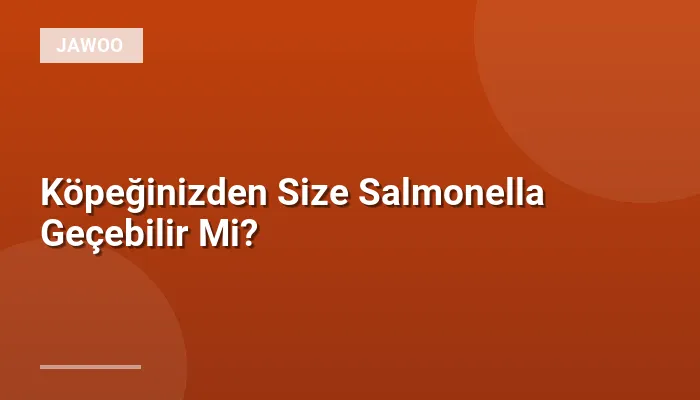 Köpeğinizden Size Salmonella Geçebilir Mi?