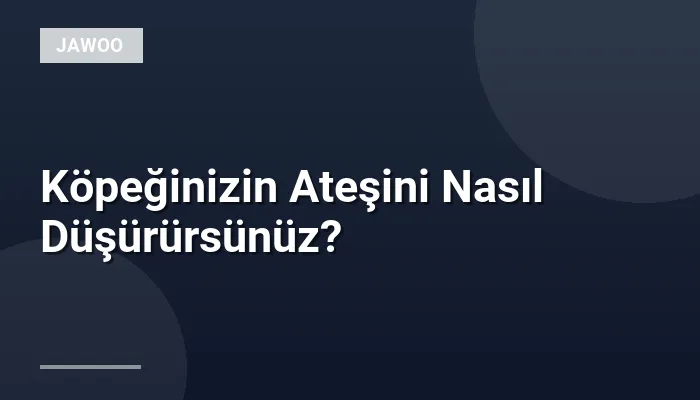 Köpeğinizin Ateşini Nasıl Düşürürsünüz?