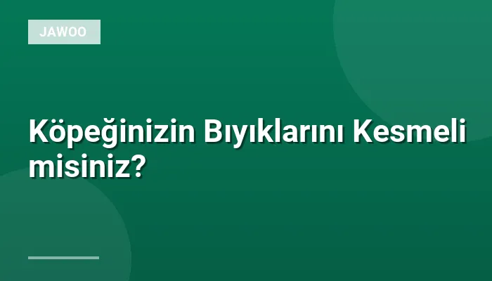 Köpeğinizin Bıyıklarını Kesmeli misiniz?