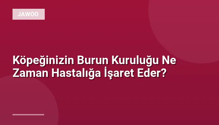Köpeğinizin Burun Kuruluğu Ne Zaman Hastalığa İşaret Eder?