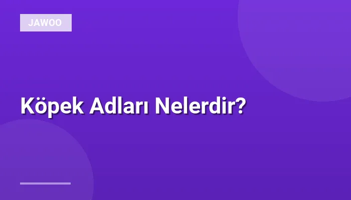 Köpek Adları Nelerdir?