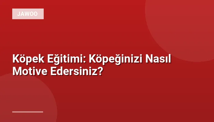 Köpek Eğitimi: Köpeğinizi Nasıl Motive Edersiniz?