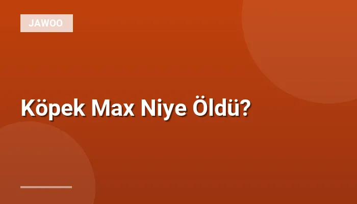 Köpek Max Niye Öldü?