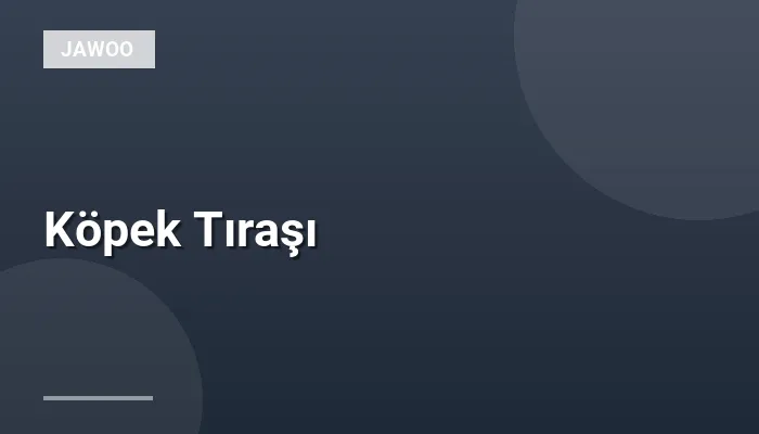 Köpek Tıraşı