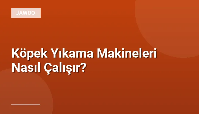Köpek Yıkama Makineleri Nasıl Çalışır?