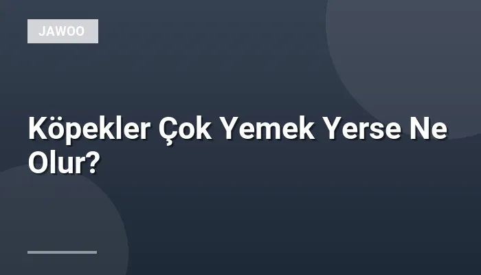 Köpekler Çok Yemek Yerse Ne Olur?