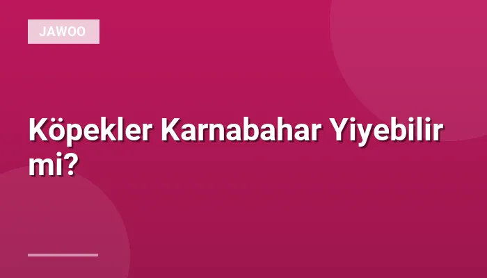 Köpekler Karnabahar Yiyebilir mi?