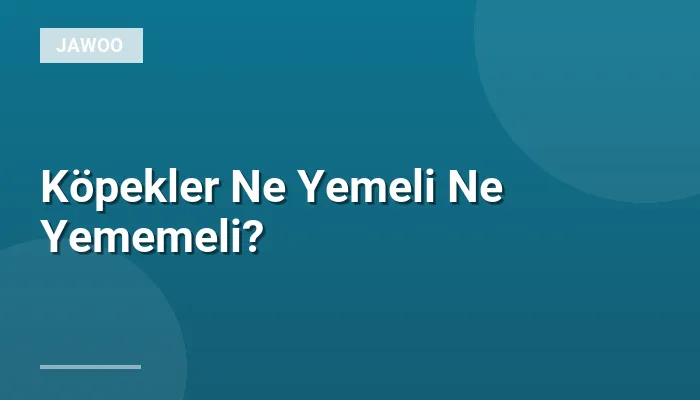 Köpekler Ne Yemeli Ne Yememeli?